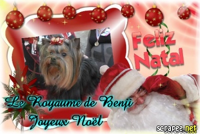 Du Royaume De Benji - JOYEUX NOËL ! ! !